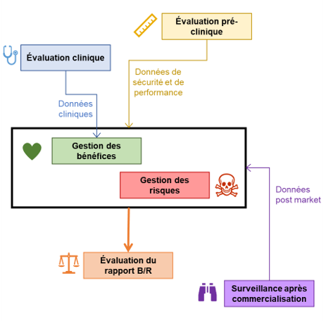 Rapport bénéfice/risque et Gestion des bénéfices d'un DM