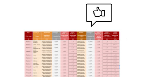 guide analyses des risques