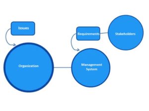 HLS - organisation context